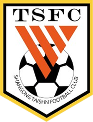 山东泰山队旗